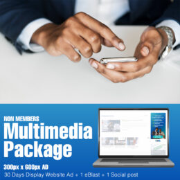 Non-Member- Multimedia 300 x 600 AD-Monthly